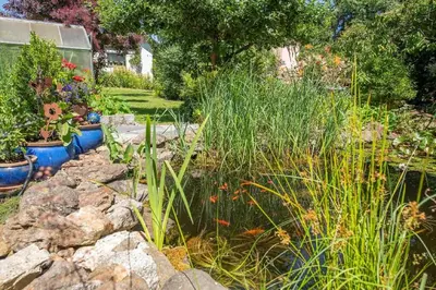 Ein Garten an der Unterkunft Ferienwohnung Schieder