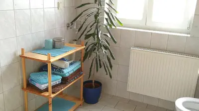 Ein Badezimmer in der Unterkunft Ferienwohnung Steinwald Ausläufer mit Blick auf Kösseine