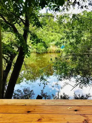 Naturlandschaft in der Nähe der Ferienwohnung
