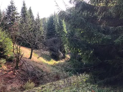 Naturlandschaft in der Nähe der Ferienwohnung