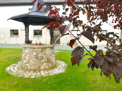 Ein Garten an der Unterkunft Ferienwohnung Am Bergmannsbrunnen