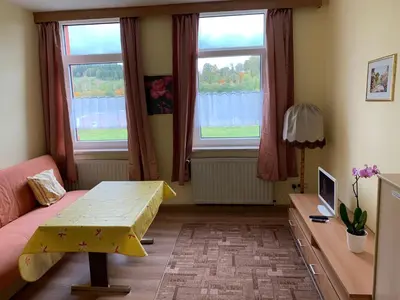 TV/Unterhaltungsangebot in der Unterkunft Ferienwohnung Goldener Drache