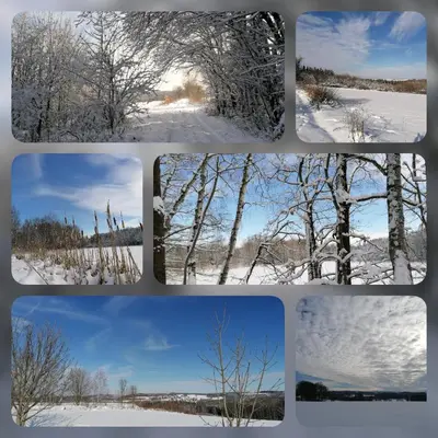 Landgasthof Plohnbachtal UG im Winter
