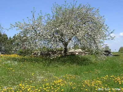 Naturlandschaft in der Nähe der Pension