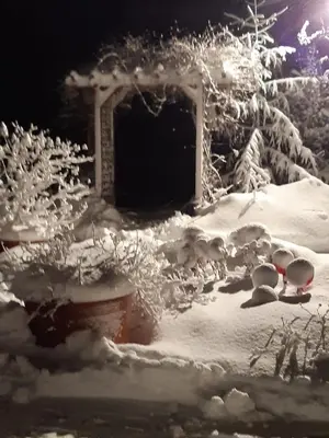 Landpension Heidi Machold im Winter