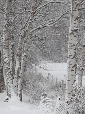 Landpension Heidi Machold im Winter