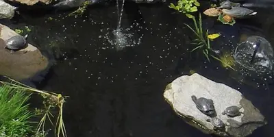 Blick auf einen Fluss in der Nähe der Ferienwohnung