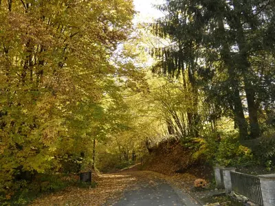 Naturlandschaft in der Nähe der Ferienwohnung