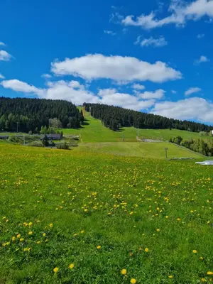 Naturlandschaft in der Nähe der Ferienwohnung