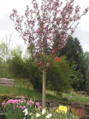 Ein Garten an der Unterkunft Alte Bäckerei Antonsthal
