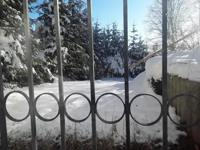 Pension Waldeck Fleckl im Winter