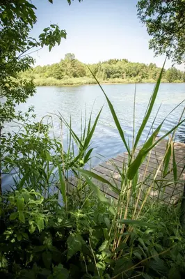 Naturlandschaft in der Nähe des Hotels