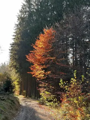 Naturlandschaft in der Nähe der Ferienwohnung