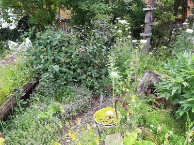 Ein Garten an der Unterkunft Ferienwohnung 
