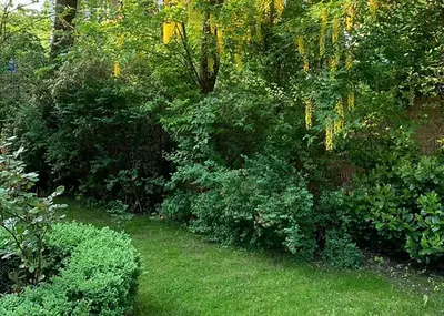 Ein Garten an der Unterkunft Apartment am Festspielpark