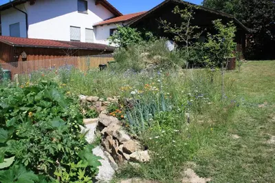Ein Garten an der Unterkunft Naturspiel