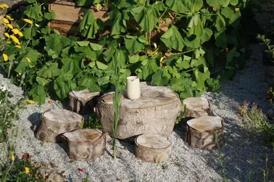 Ein Garten an der Unterkunft Naturspiel