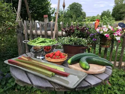 Ein Garten an der Unterkunft Naturspiel