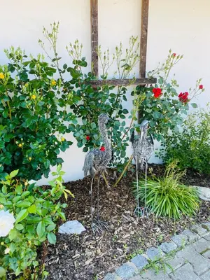 Ein Garten an der Unterkunft Bärenhof