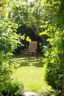 Ein Garten an der Unterkunft Villa Siegfried