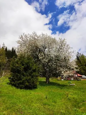 Naturlandschaft in der Nähe des Ferienhauses