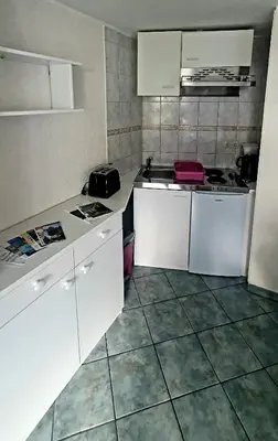Küche/Küchenzeile in der Unterkunft Miniferienhaus Bad Elster