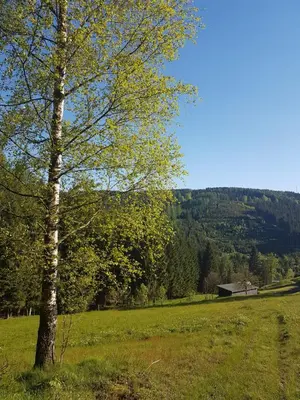 Naturlandschaft in der Nähe der Ferienwohnung
