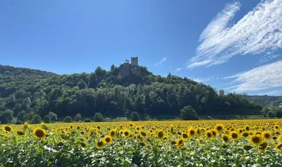 Naturlandschaft in der Nähe der Ferienwohnung