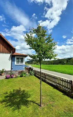 Ein Garten an der Unterkunft Ferienwohnung Schultheiss