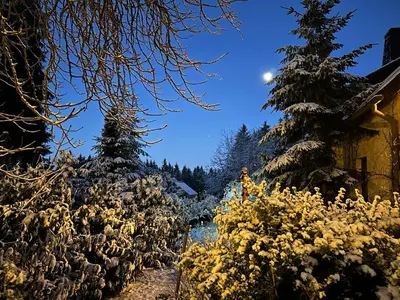 Naturlandschaft in der Nähe des Hotels