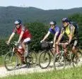 Radfahren an der Unterkunft Gasthof Schwarzer Bär oder in der Nähe