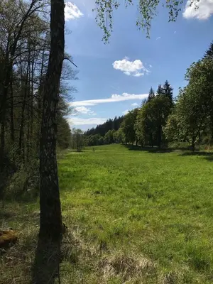 Naturlandschaft in der Nähe der Ferienwohnung