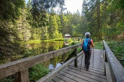 Naturlandschaft in der Nähe des Ferienhauses