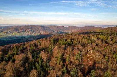 Naturlandschaft in der Nähe des Ferienhauses