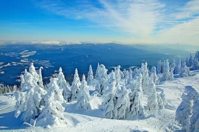 Naturlandschaft in der Nähe des Ferienhauses