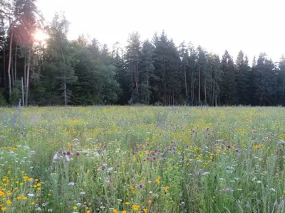Naturlandschaft in der Nähe des Ferienhauses