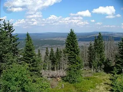 Naturlandschaft in der Nähe der Ferienwohnung