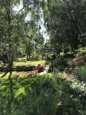 Ein Garten an der Unterkunft Ferienhaus BB2