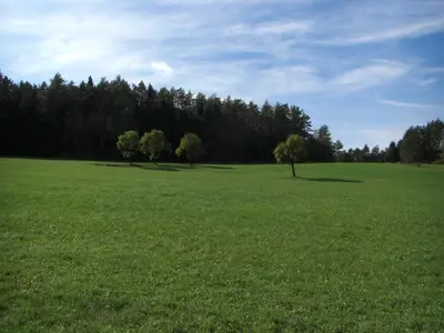 Naturlandschaft in der Nähe der Pension