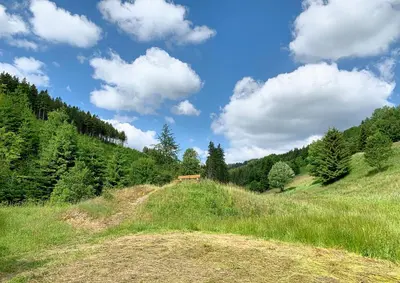 Naturlandschaft in der Nähe der Ferienwohnung
