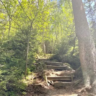 Naturlandschaft in der Nähe der Ferienwohnung