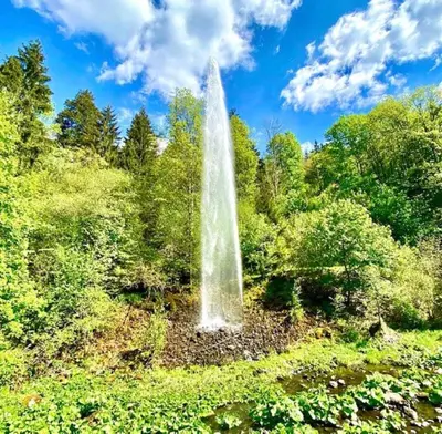Naturlandschaft in der Nähe der Ferienwohnung
