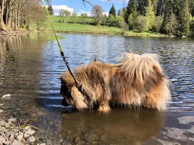 Blick auf einen Fluss in der Nähe des Ferienhauses