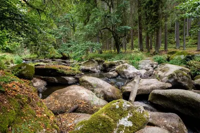 Naturlandschaft in der Nähe der Ferienwohnung