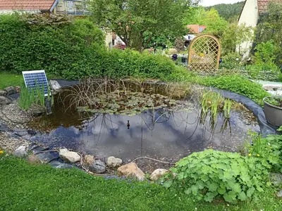 Ein Garten an der Unterkunft Appartement Buchstein