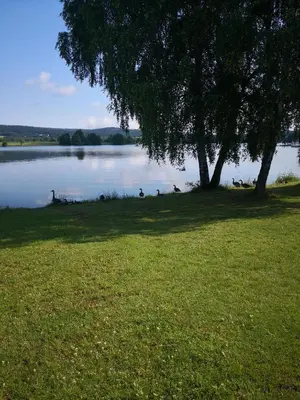 Naturlandschaft in der Nähe des Ferienhauses