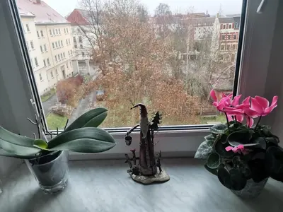 Grundriss der Unterkunft MARTHA APARTMENTS - Ideal für Familien und Langzeitaufenthalte