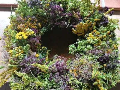 Ein Garten an der Unterkunft Apfelblüte und Paradies