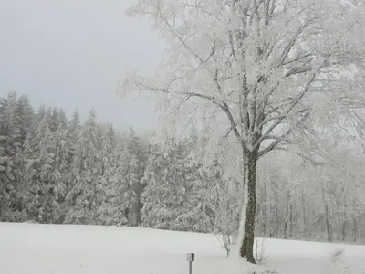 Haus Eugen im Winter