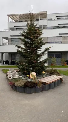 Ein Garten an der Unterkunft Moderne, barrierefreie Ferienwohnung